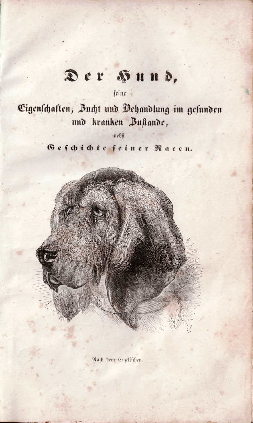 Der Hund, Geschichte seiner Rassen, Prof. Dr. Weiss, 