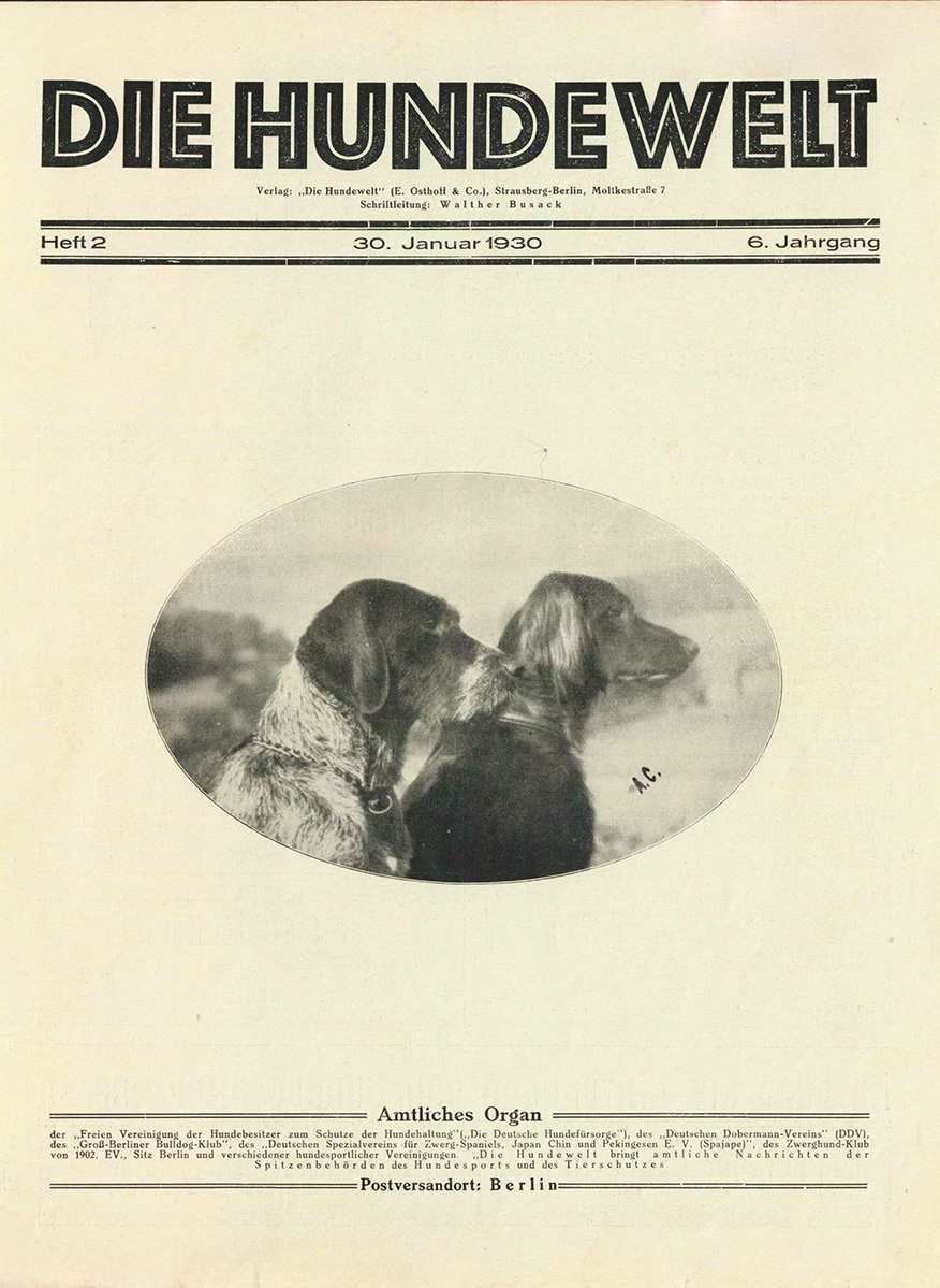 Die Hundewelt